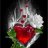Sandie33