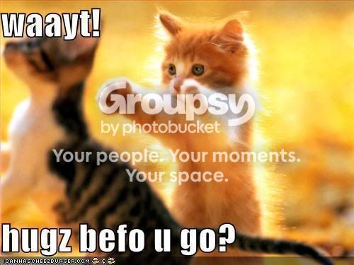 funny-pictures-kittens-hugs-before-.jpg