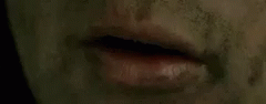 share-lotr.gif