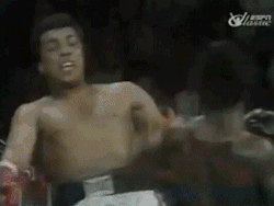 tumblr_mymp1fFAm01r6jnjdo1_250.gif