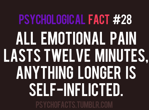 tumblr_ln1pr2tWsi1qi8k06o1_500.png