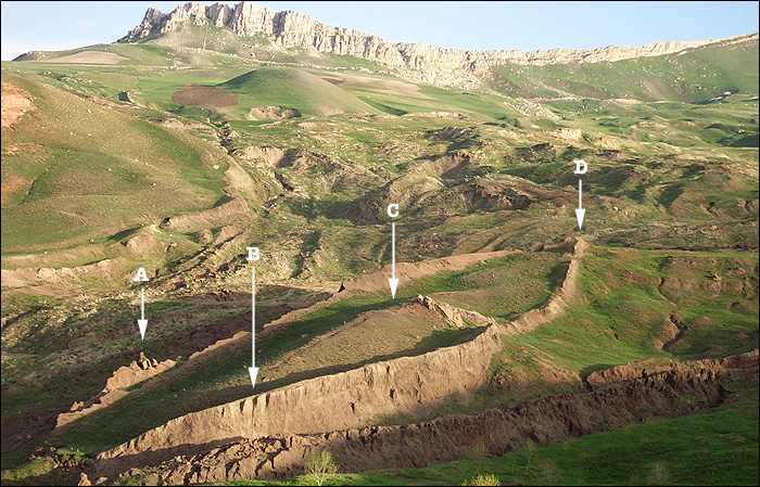 ergyk-noahs-ark-1.jpg