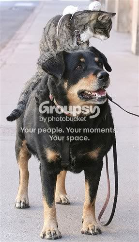 Imageaspx.jpg