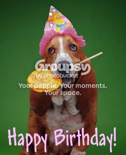 HappyBirthdayDog.jpg