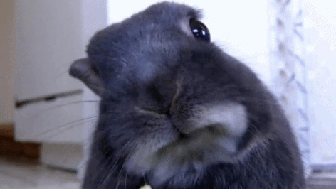 0aa5a49a99e3ddcbe3d40c8392bca04f.gif