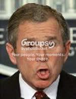 george_bush_monkey.jpg