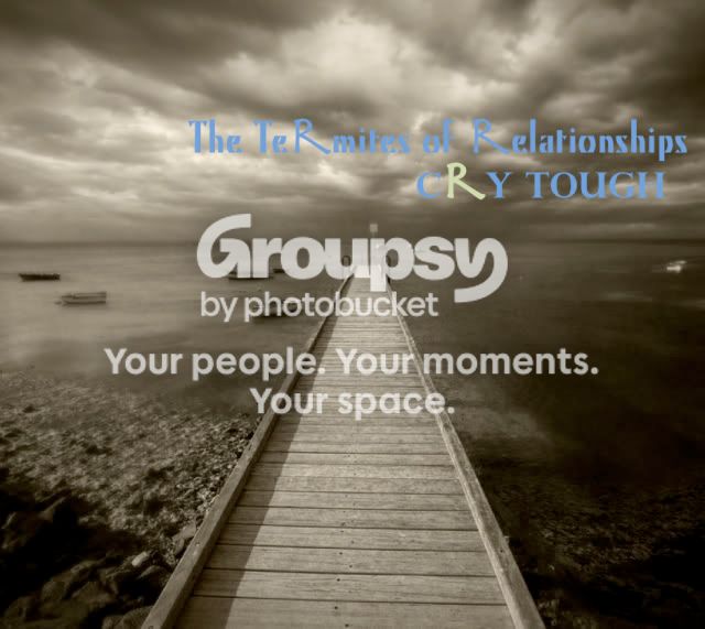 cover3.jpg