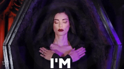 giphy.gif