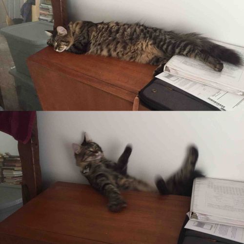 tumblr_o8xp89z1Tn1qzag1wo1_500.jpg