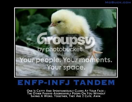 ENFP-INFJTandem.jpg