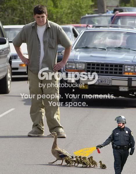 um4eca98e9.jpg