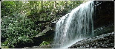 pt-water.jpg