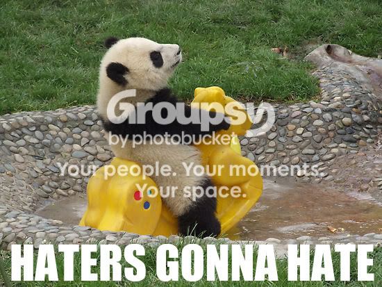 HatersGonnaHatePanda.jpg