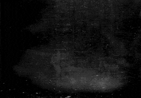 200.gif