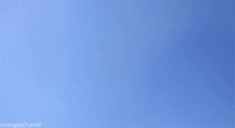 giphy.gif