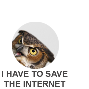 buho_logo_tumblr_1.png
