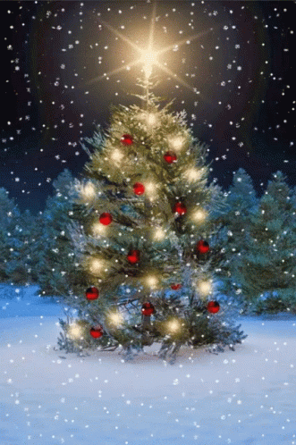389320fbc2fff3a231074ffef629f44d.gif