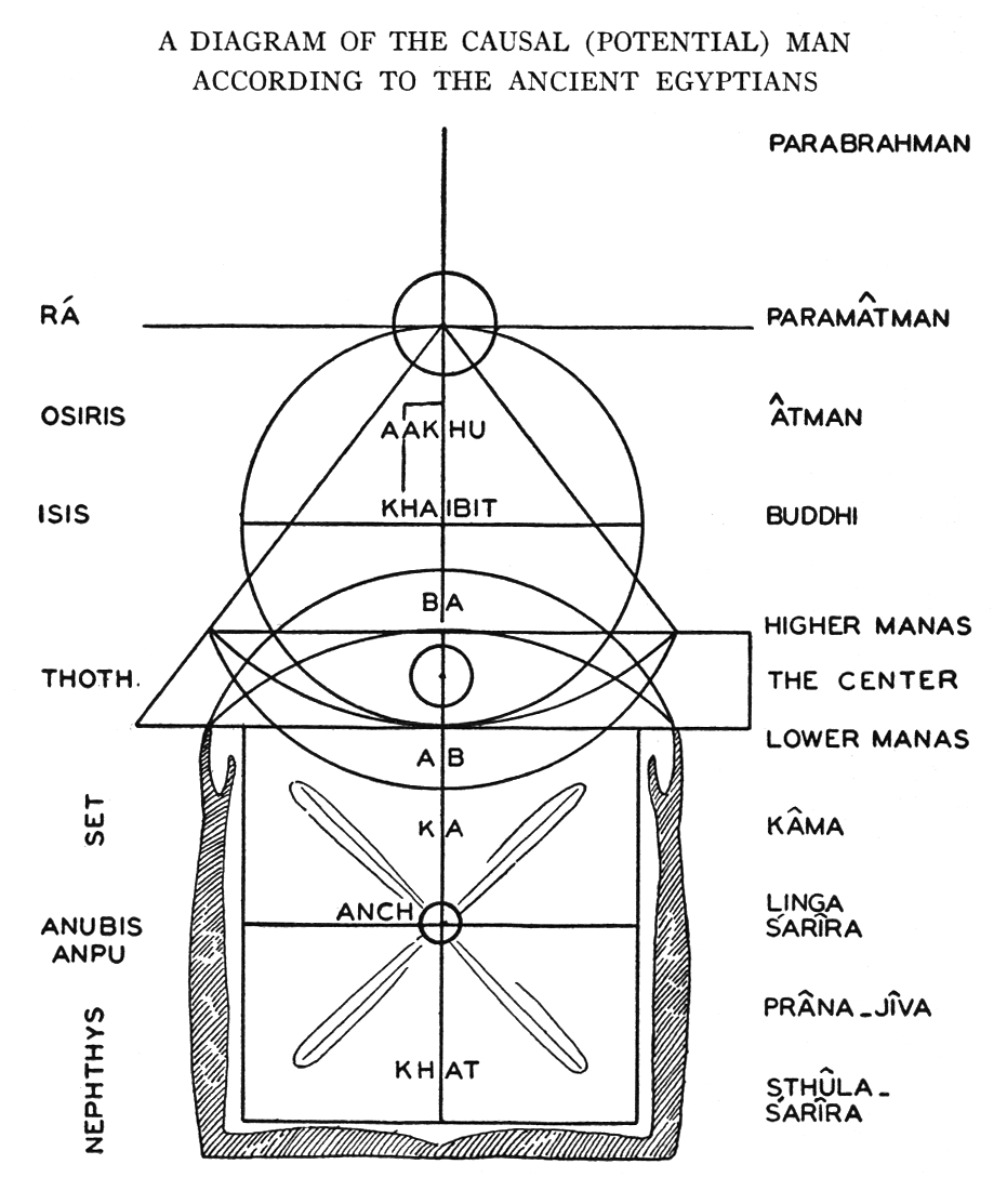 f19n06p427_diag2.png