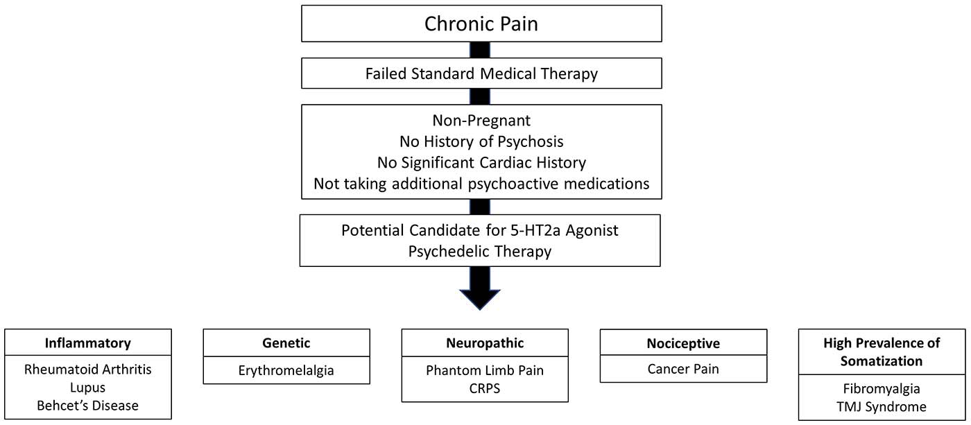 200521-pain-4.jpg