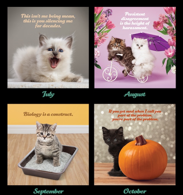 wokekittykalendar.jpg